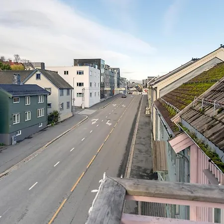 Polar Rose L L Unique *