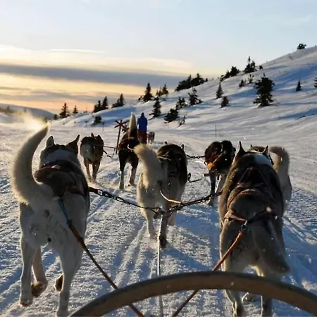 Lägenhet Polar Rose L L Unique