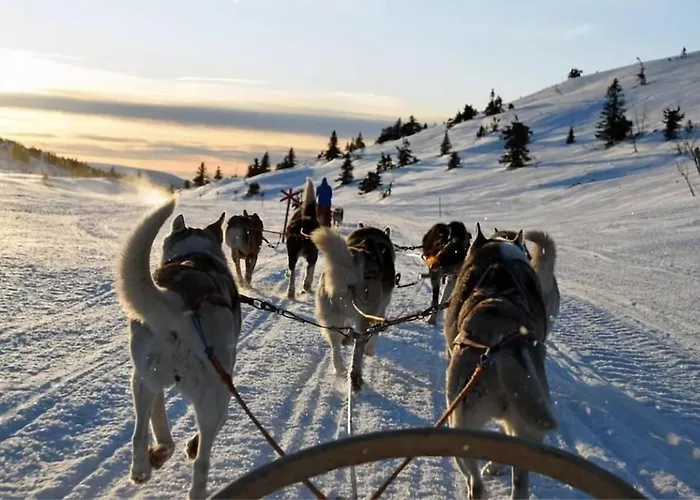 Апартаменты Polar Rose L L Unique